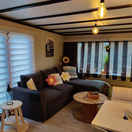 Hotel Tiny Beachhouse Belgium, Wenduine Zewnętrze zdjęcie